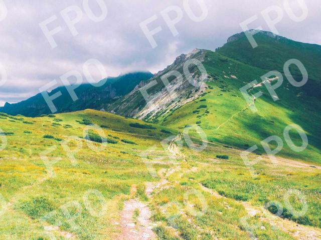 Ex Parturient Lobortis