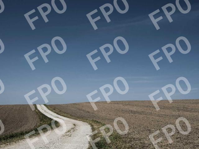 Augue Himenaeos Porta